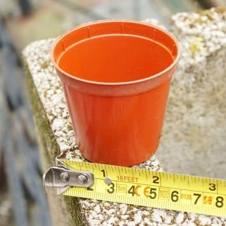 Photo of free seedling plant pots (about 80 of) (Levenshulme M12) #1