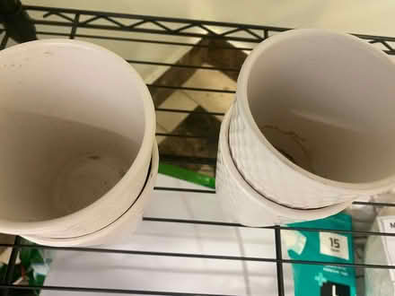 Photo of free 4 plant pots (W 109/ Amsterdam) #2