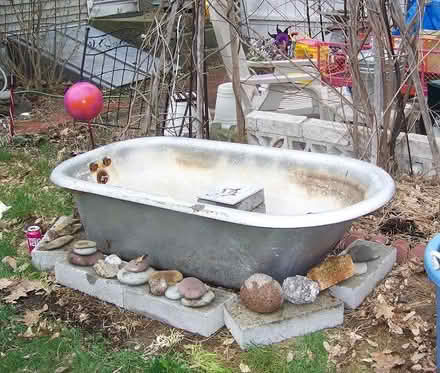 Photo of free Cast iron bathtub for garden pond (Wappingers) #3