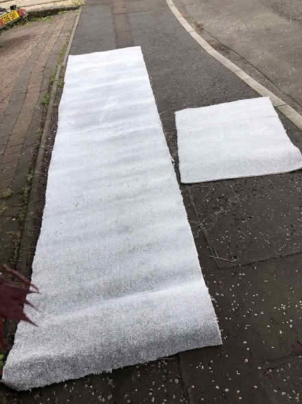 Photo of free Carpet (Alva FK12) #2