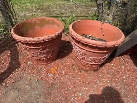Photo of free Large plastic planters (Weston) #1