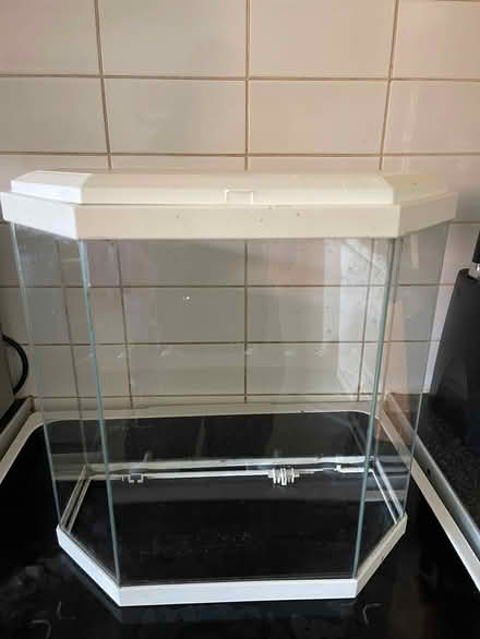 Photo of free Vivarium (Goldthorn Hill WV2) #1