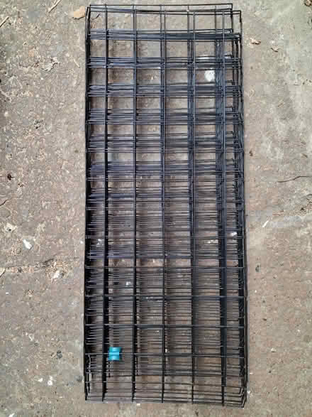 Photo of free Walk-in greenhouse with shelves (Osgodby, YO8) #1