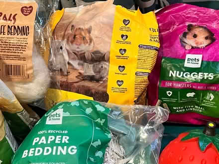 Photo of free Miscellaneous hamster things (CR7 Thornton heath) #3