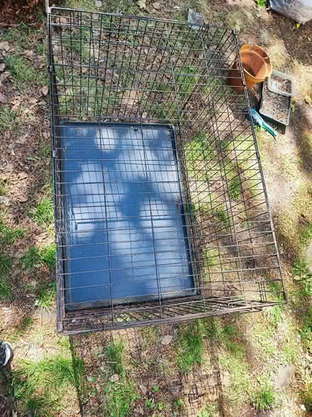 Photo of free Large dog crate (L37) #2