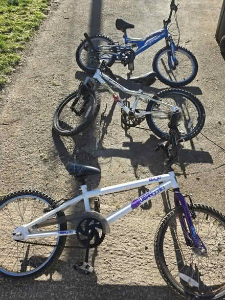 Photo of free Bikes (Ross on Wye) #1