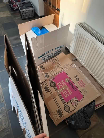 Photo of free Moving boxes (Pembury TN2) #1