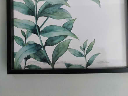 Photo of free 3 leaf prints in frames (Wrose BD2) #2