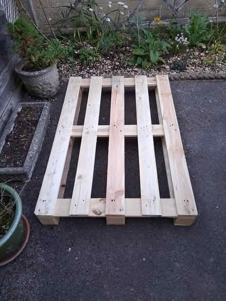 Photo of free Pallet (Stroud GL5) #1