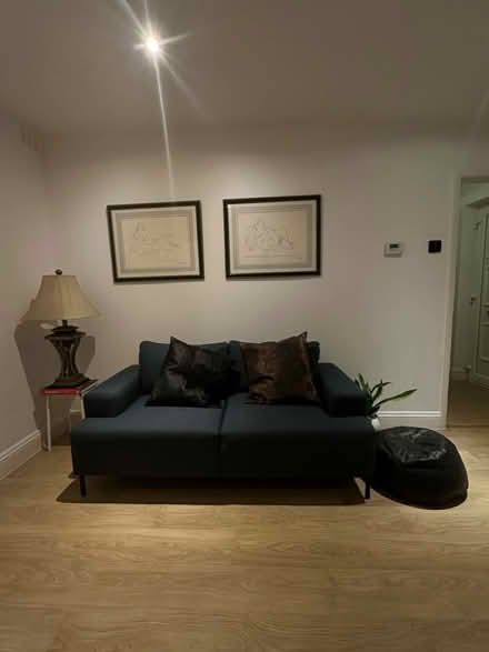 Photo of free Sofa pillows not included (Acton central) #1