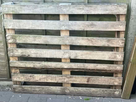 Photo of free Wood pallet (CB4) #1