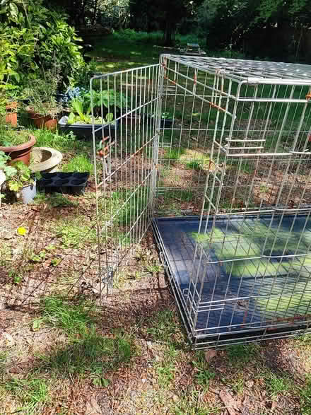Photo of free Large Silver Dog Crate (L37) #4