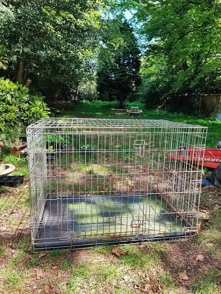 Photo of free Large Silver Dog Crate (L37) #1