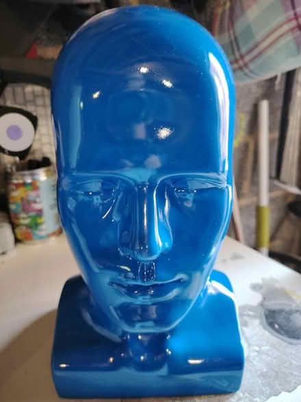 Photo of free Blue head (Worcester wr4) #1