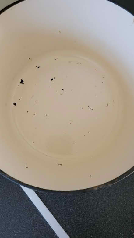 Photo of free Heavy pot (Southend, SS1) #2