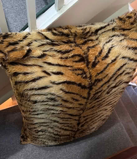Photo of free Large cushion (Southsea PO5) #1
