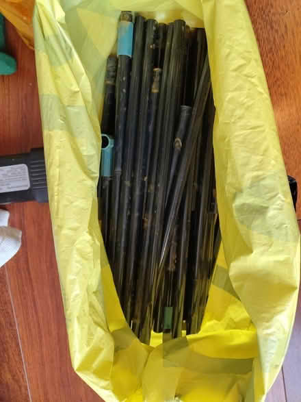 Photo of free Walk-in greenhouse with shelves (Osgodby, YO8) #2