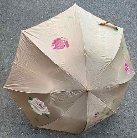 Photo of free Umbrella (Amherst) #1