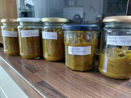 Photo of free Homemade runner bean pickle (Newark NG24) #1