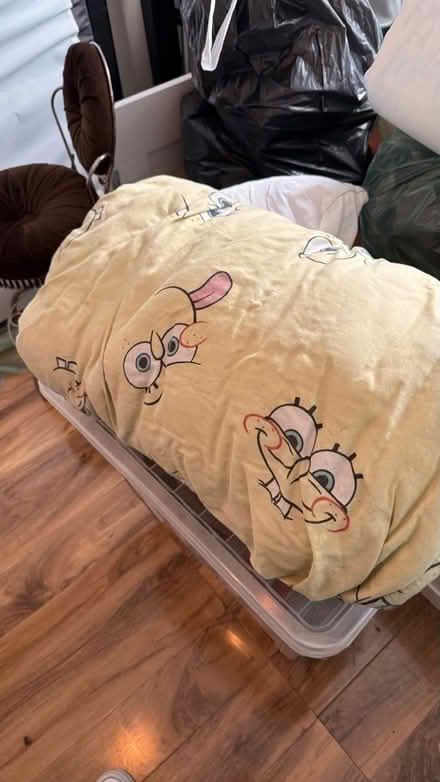 Photo of free Duvet (Custom House E16 3LQ) #1