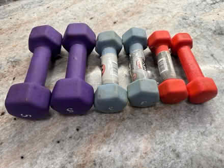 Photo of free Weights (Northville) #1