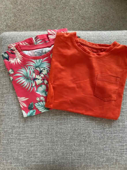 Photo of free Next T shirts (Willingdon BN20) #1