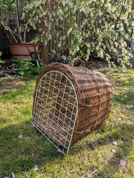 Photo of free Wicker Cat Basket (Teddington) #3