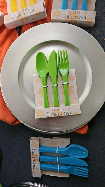 Photo of free Picnic/camping/bbq plates, cutlery and platters (Randwick GL6) #3