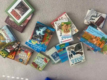 Photo of free Children’s books mainly non fiction (Weybridge KT13) #3