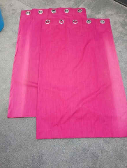 Photo of free Fuchia curtains (Southwater) #1