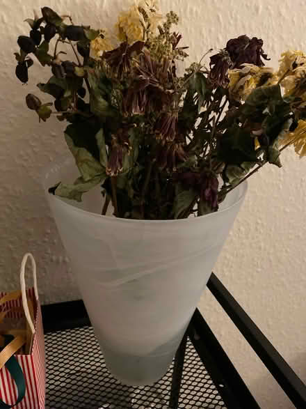 Photo of free Large vase (Stockbridge EH3) #1