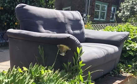 Photo of free Comfy Kitty-loved Ikea Love Seat (2715 Benvenue Ave 94705) #3