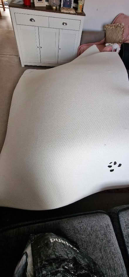 Photo of free Panda king size memory foam topper (St Albans AL4) #1