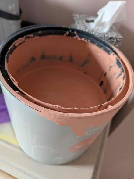 Photo of free paint (Hucclecote Meadows GL3) #2