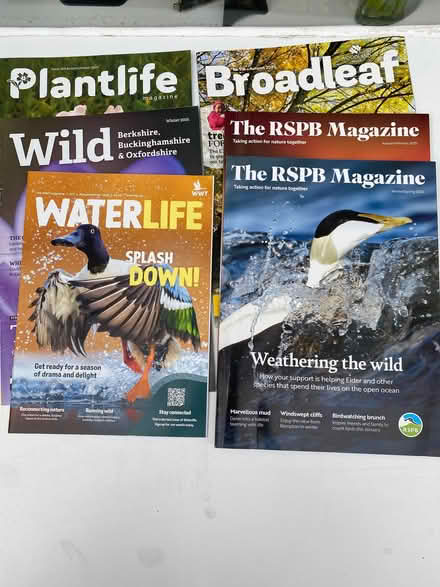 Photo of free Wildlife Magazines (Chalfont St Peter SL9) #1