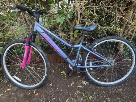 Photo of free Bike (Bray) #1