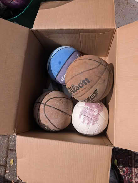 Photo of free Basketballs (The Cedars Estate WD3) #1