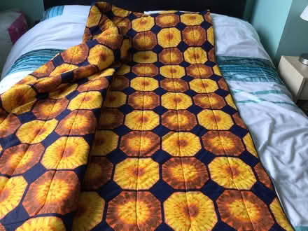 Photo of free 2 single sleeping bags (CT2) #2