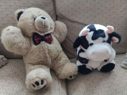 Photo of free Teddy and a cow (Bedford) #1