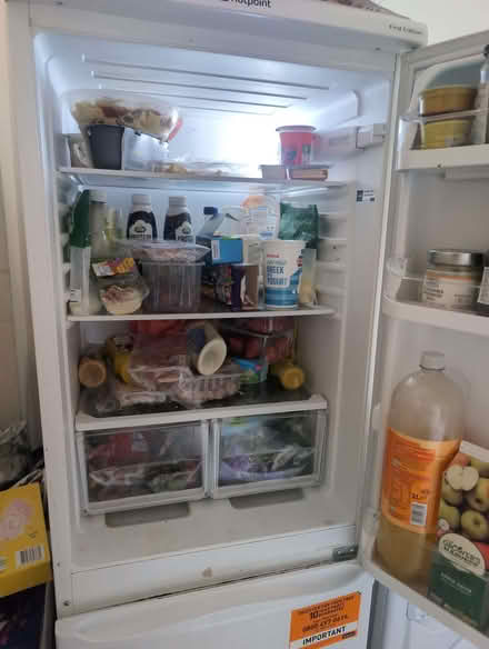 Photo of free Fridge freezer (Seaside BN22) #2