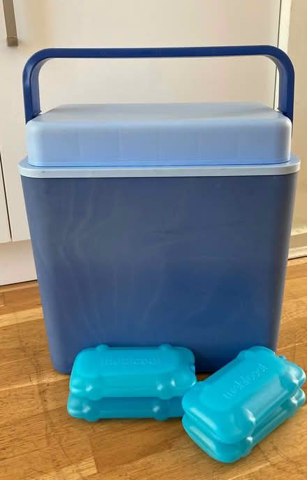 Photo of free Hard-shell cool box & freeze packs (GMV SE10) #1