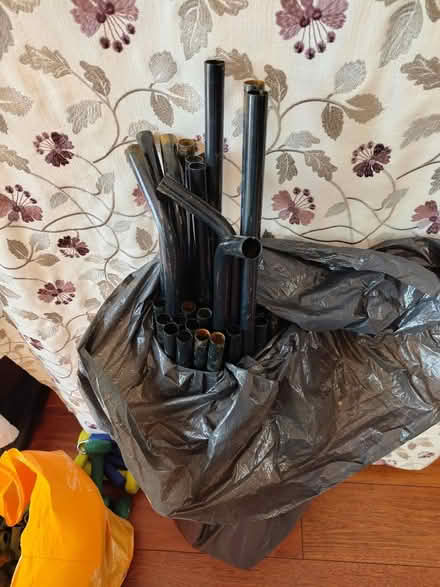 Photo of free Walk-in greenhouse with shelves (Osgodby, YO8) #4