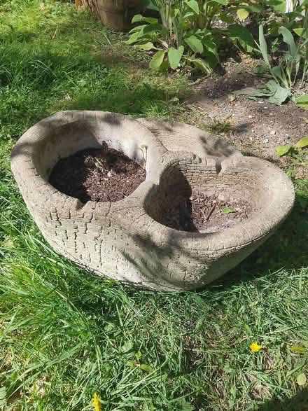 Photo of free Concrete planter (Tunbury Wood ME5) #3