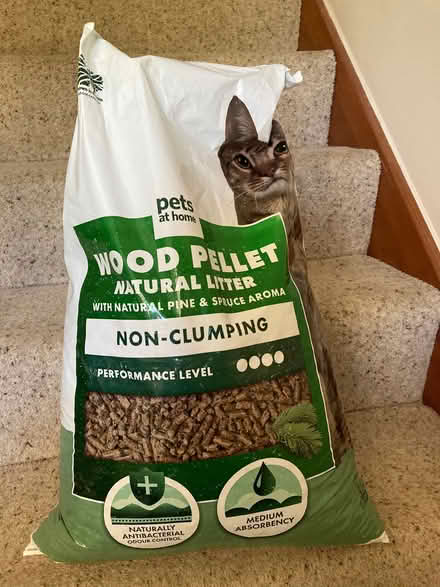 Photo of free Cat Litter (Trowse NR1) #1