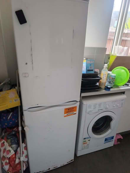 Photo of free Fridge freezer (Seaside BN22) #1