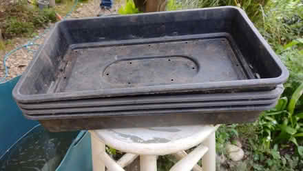 Photo of free Plastic plant pots and 4 seed trays (Summertown OX2) #2