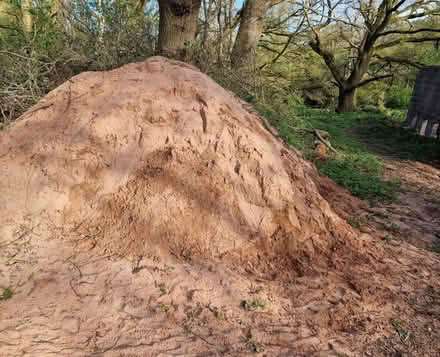 Photo of free Sand (Tern Hill) #1