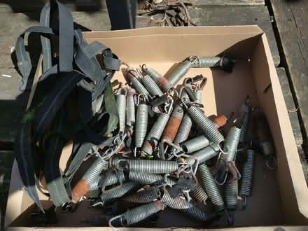 Photo of free Plum 8ft trampoline (Colchester CO1) #3