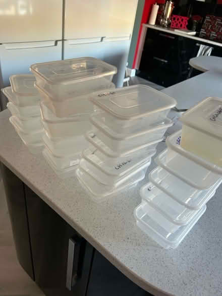 Photo of free Plastic food containers with lids (Near Cameron Toll EH16) #1