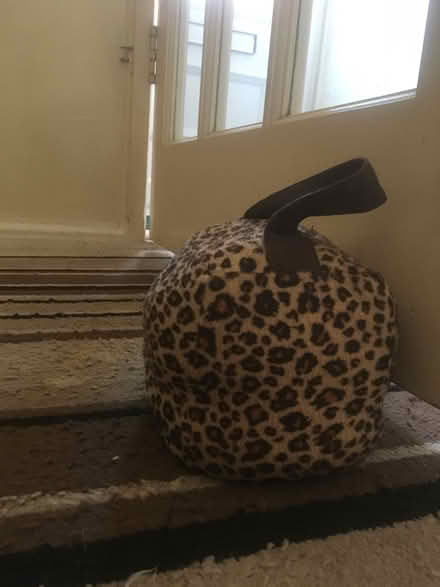 Photo of free Door stopper (Fairwater CF5) #1